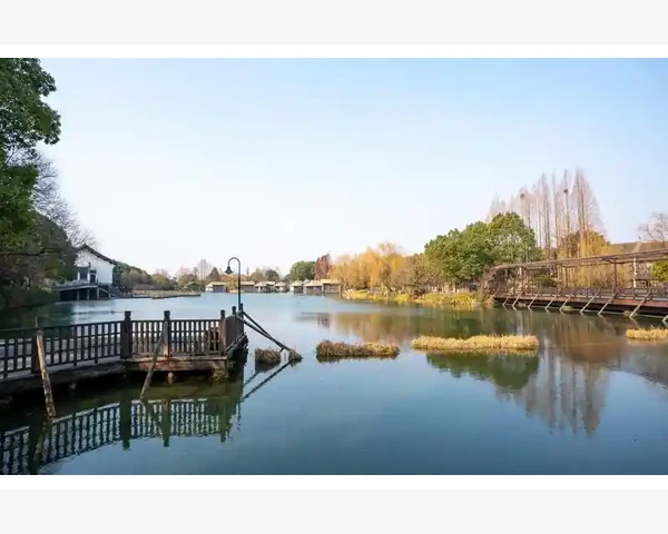 脾胃虚弱的五大特征表现及改善方法